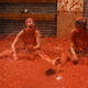 Illustration for article titled Here Are The Tomato Psychos